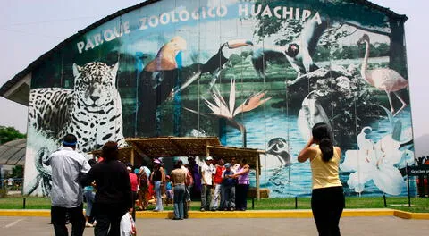 Zoológico de Huachipa viene siendo remodelado por la Municipalidad de Lima.