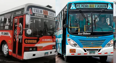 Conoce la empresa de transporte que registra el recorrido más largo en Lima.