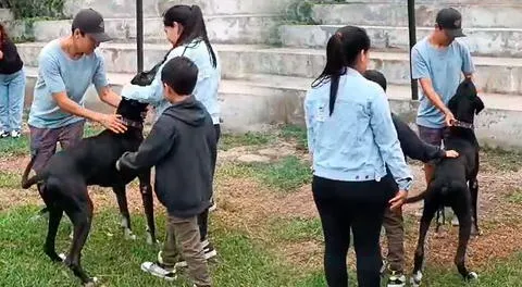 Figo se reencontró con su familia tras permanecer perdido durante casi 4 años.