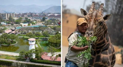 La nueva sede del Parque de las Leyendas abrirá sus puertas de lunes a domingos.