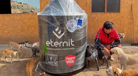 Con la donación del tanque de agua buscarán beneficiar a más de 80 animalitos rescatados en Ñaña.