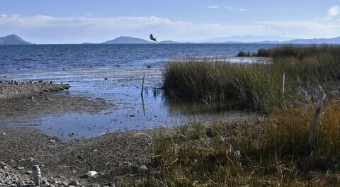 A pesar de las lluvias, las predicciones de Senamhi consideran que no se recuperará totalmente el nivel del Titicaca