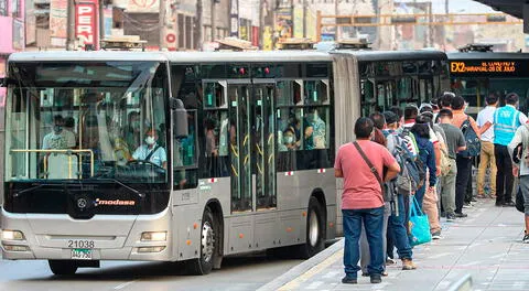 Conoce los nuevos horarios del Metropolitano y corredores este 8 y 9 diciembre.