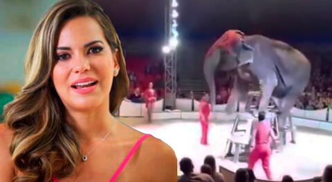 Valeria Piazza hace fuerte llamado a no asistir a circos con animales