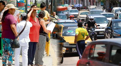 El verano viene con fuerza y los vehículos más adecuados para enfrentar la ola de calor.