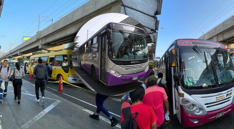 Buses del Corredor Morado son reemplazados por cústeres.