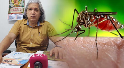 Alerta en Piura por casos de dengue.