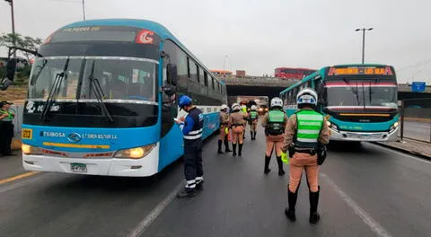 Buses de transporte público cometieron infracciones y fueron detenidos por la PNP.