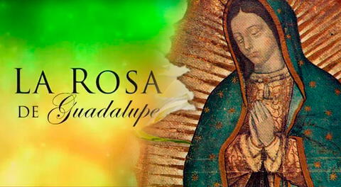 La Rosa de Guadalupe se inspiró un casos reales.