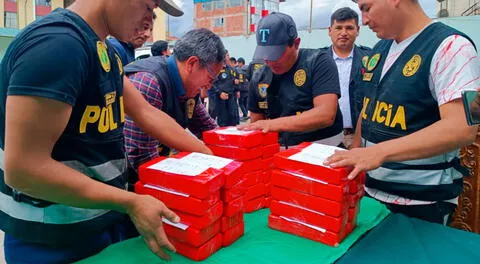 Policías incautaron la droga y el vehículo. Conductor quedó detenido.