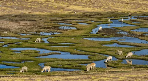 Más protección para el medio ambiente nacional. Fuente: Difusión