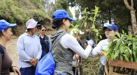 Contaminación ambiental sigue en aumento