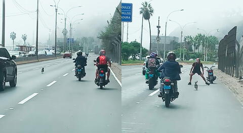 Los motorizados ayudaron a poner a salvo al perrito que corría en la Costa Verde.