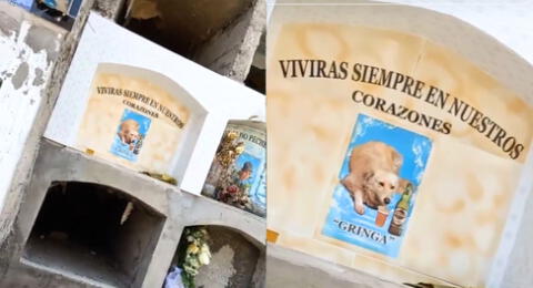 Perrita fallecida tiene su propio nicho en cementerio de Comas y es viral en TikTok.