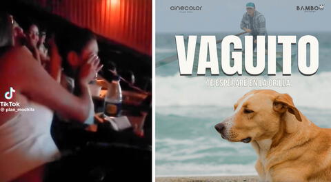 Película Vaguito: Niño se hace viral al llorar tras ver al "Hachiko peruano" esperar a su dueño.