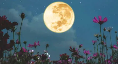 Luna de Flores 2024: conoce todos los detalles para ver la luna llena de mayo.