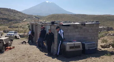 Este era el lugar donde enterraban la droga, cerca al volcán Misti.