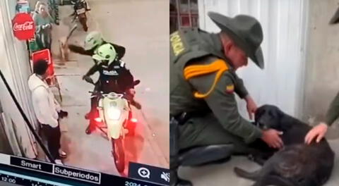 Los policías regresaron al lugar solamente para golpear a la perrita.