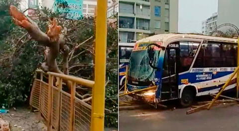 El auto dejó totalmente destruido el paradero contra el que chocó.