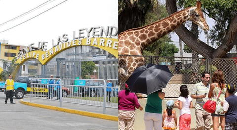 El Parque de las Leyendas de San Miguel y Huachipa ofrecerán 200 entradas gratuitas por el Día del Padre 2024.