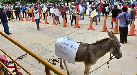 Chiclayo: Comerciantes protestan frente a municipalidad y llevan burro ante alcalde