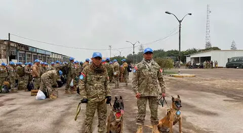 Los perros tienen experiencia en la frontera de Perú y Ecuador.