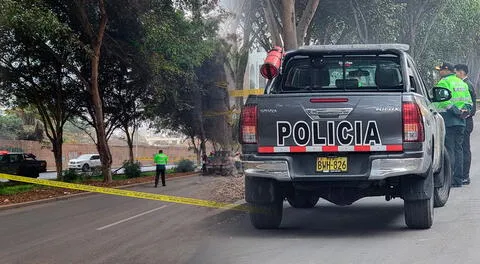 Dos cuerpos calcinados son hallados en plena avenida de Ate.