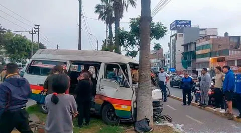 Así quedó la combi tras impactar violentamente contra un árbol.