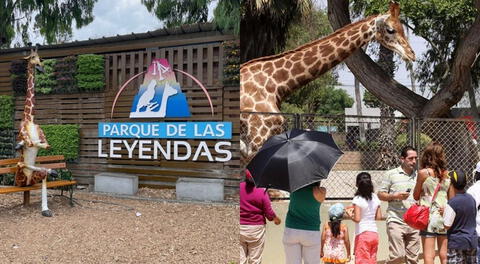 Día del Niño 2024 en Perú: Parque de las Leyendas ofrecerá 100 entradas gratuitas en sus sedes de San Miguel y Huachipa.