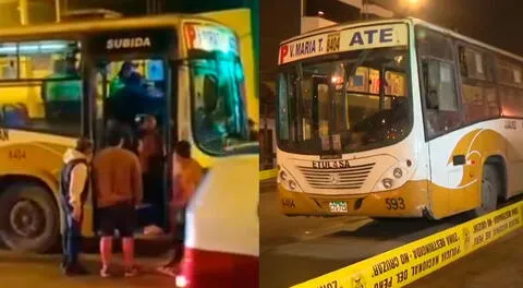 Bus ETUL 4 SA es víctima de ataque por parte de sujetos en Villa María del Triunfo.