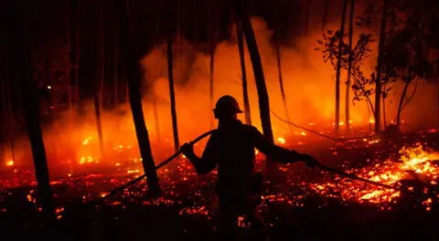 Conoce cómo puedes ayudar a los afectados de los incendios forestales en la Amazonía peruana.