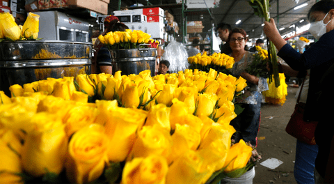 Significado de recibir flores amarillas el 21 de septiembre 2024: Qué simbolizan y cuál es su origen