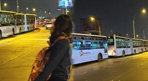 Caos en el Metropolitano en Lima Norte: Conoce las rutas alimentadoras afectadas.