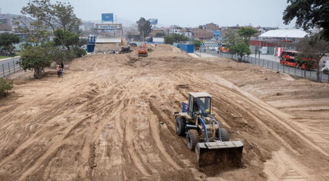 Vía Expresa Sur: Vecinos protestan ante devastación de espacios verdes en Surco sin planificación inmediata