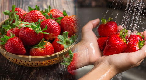 Protege tu salud eliminando los pesticidas de tus fresas.