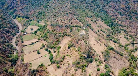 Se esta tomando acciones buscando evitar los desastres naturales.