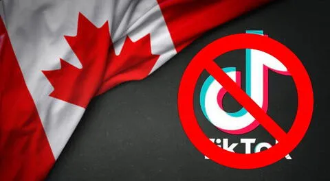 El Gobierno de Canadá ordenó el bloqueo definitivo de TikTok, pero omitió un detalle importante.