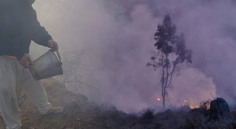 Pobladores realizaron los trabajos para controlar el fuego, pero no pudieron evitar que afecte sus cultivos