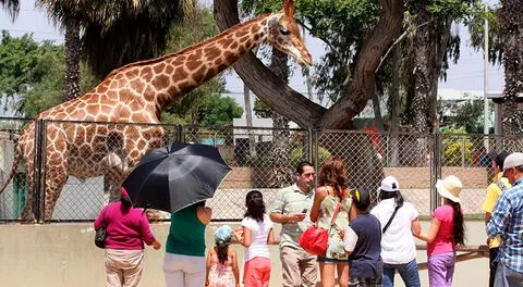 Descubre si eres uno de los afortunados en ingresar gratis al Parque de las Leyendas.