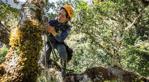 National Geographic investiga a osos andinos