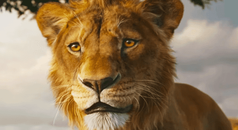 Esta es la película animada que ha superado a 'Mufasa: El Rey León' en taquilla.