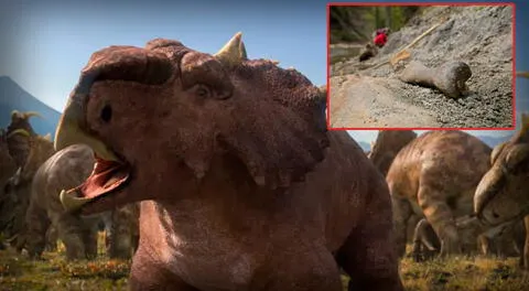 Aún hay un kilómetro entero lleno de huesos por investigar.