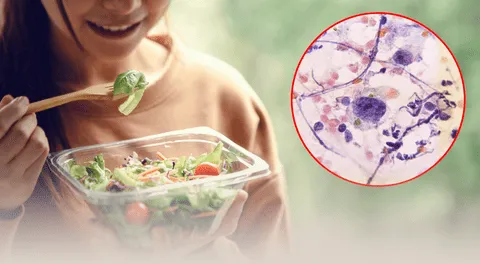 Conoce los alimentos que eliminan los químicos que generan cáncer: científicos revelan como expulsarlos