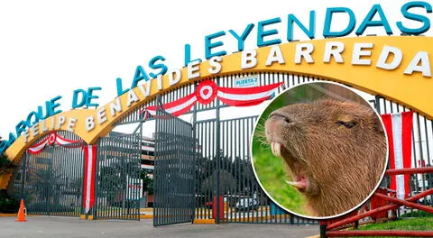 Conoce quiénes pueden acceder a las entradas gratis del Parque de las Leyendas.
