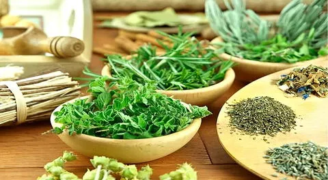 ¿Sabías que muchas hierbas aromáticas son también medicinales? Aquí tienes 5 opciones con usos y beneficios.