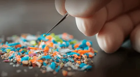 Los microplásticos ya están presentes en el semen y el líquido folicular, según científicos.