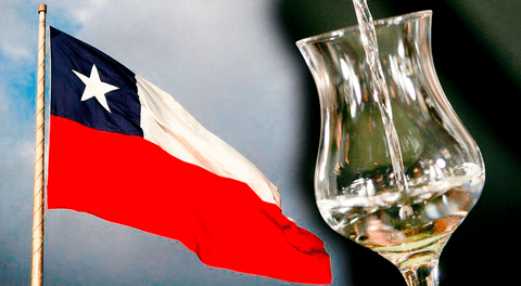 Corte de Delhi valida denominación de origen del pisco chileno tras años de disputa