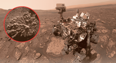 Curiosity cumple 13 años de exploración en Marte: la NASA celebra con hallazgo inesperado.
