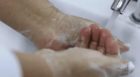 Jabón contaminado en EE.UU. bacteria mortal obliga a retirar popular marca del mercado.