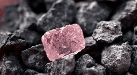 Robaron un diamante rosa valorado en 25 millones de dólares y la policía lo encontró en un refrigerador